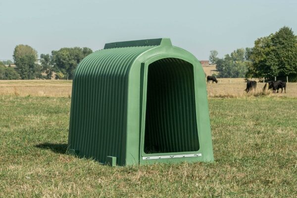 Schuilhok  Large groen