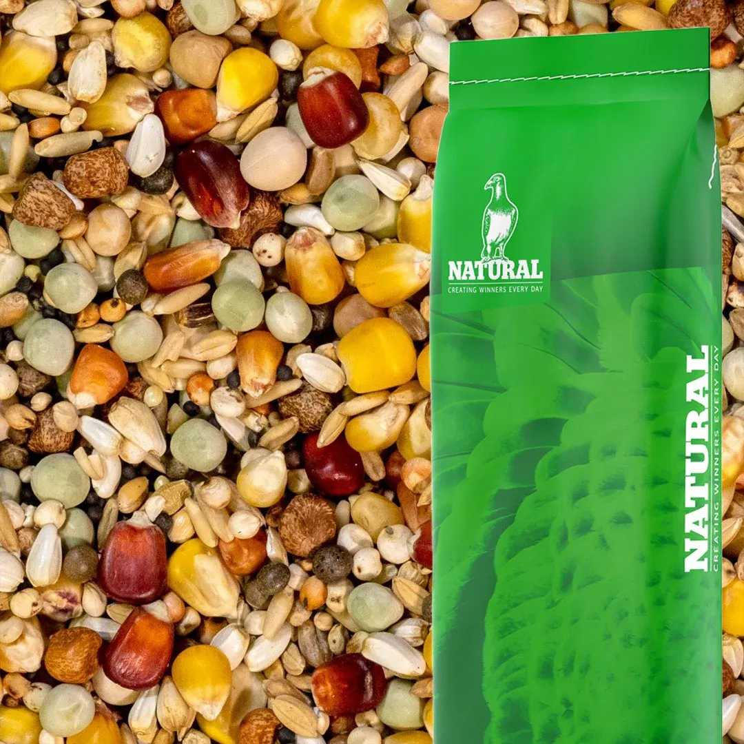 Natural Maxi sport 3M Popcorn