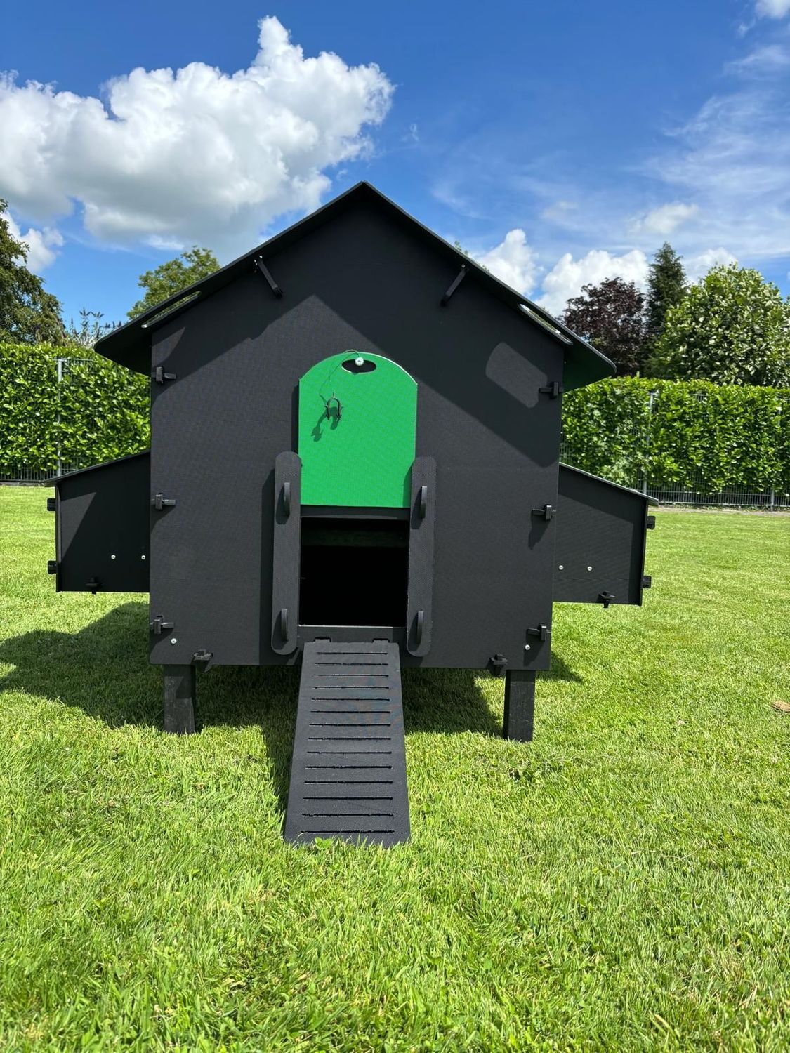 Kunststof Kippenhok  Pluverdi  Paris SUPERACTIE 8 -16 kip