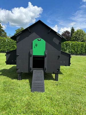 Kunststof Kippenhok  Pluverdi  Paris SUPERACTIE 8 -16 kip
