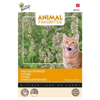 Wild kattenkruid
