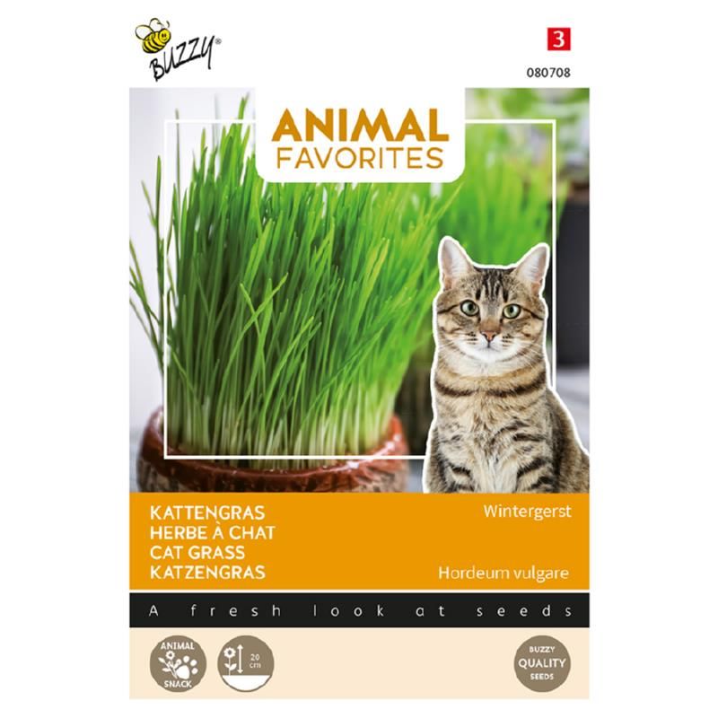 Kattengras - Wintergerst