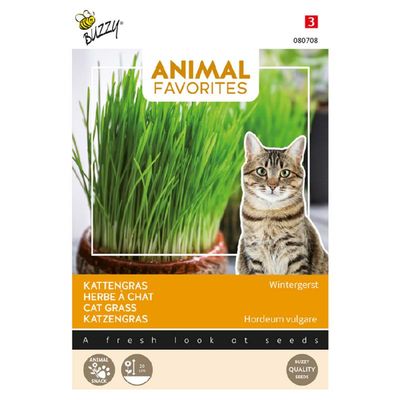 Kattengras - Wintergerst