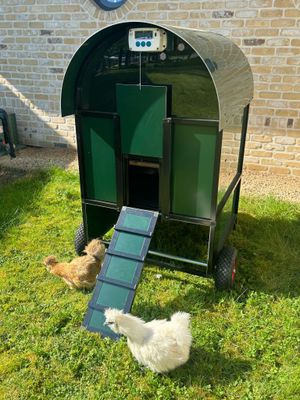 Calimero&#39;s coop  medium- Green kippenhok Aluminium - mobiel - VERHOOGD