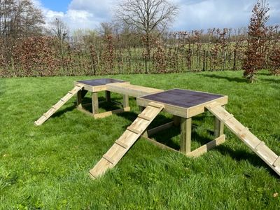 Speeltoestel Speelplateau voor geiten