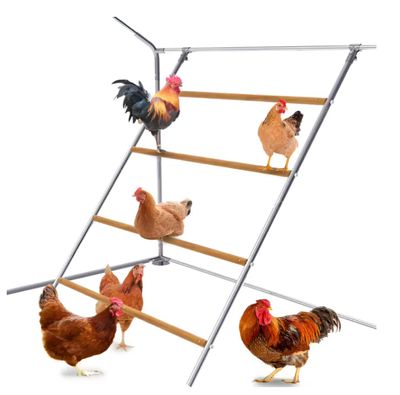 Zitstok set Compleet voor kippen - ENKEL