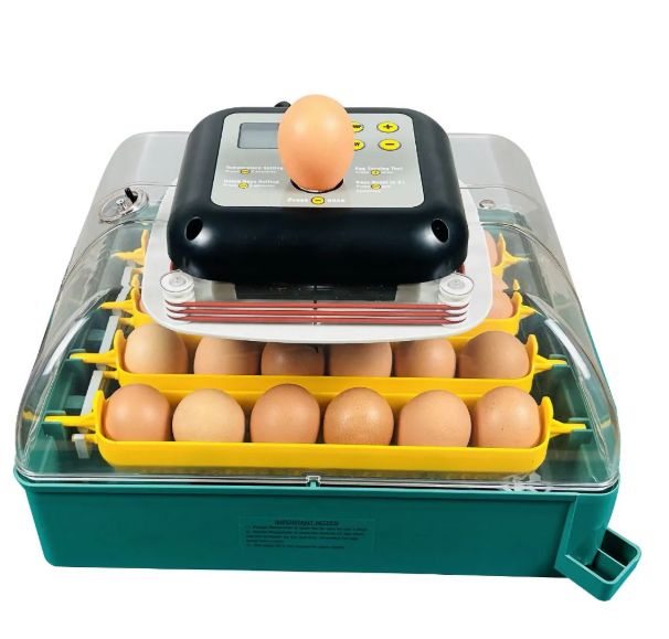 MS Broedmachine voor 24 eieren