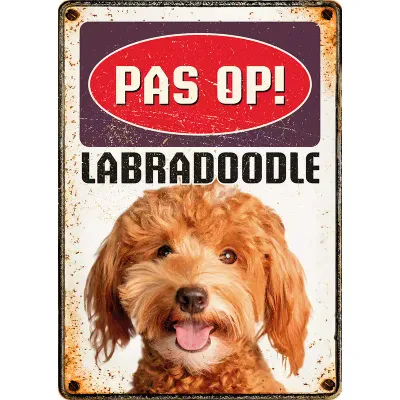 Bord blik Labradoodle