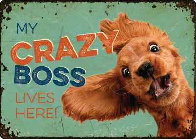 Sign Metal Crazy Boss