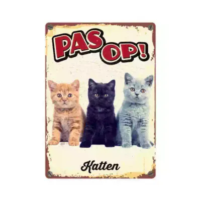 Bord Blik Katten