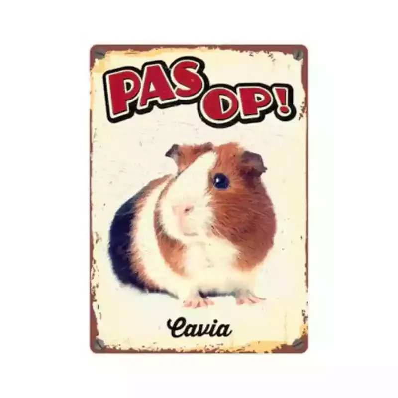 Bord blik cavia