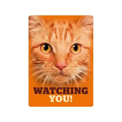 Sign Metal Orange Tabby Eyes