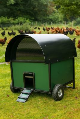 Calimero's coop  medium- Green kippenhok Aluminium - mobiel - hok van de toekomst Medium