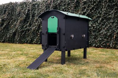 Kunststof Kippenhok  Pluverdi  Amsterdam SUPERACTIE 3-6 kip