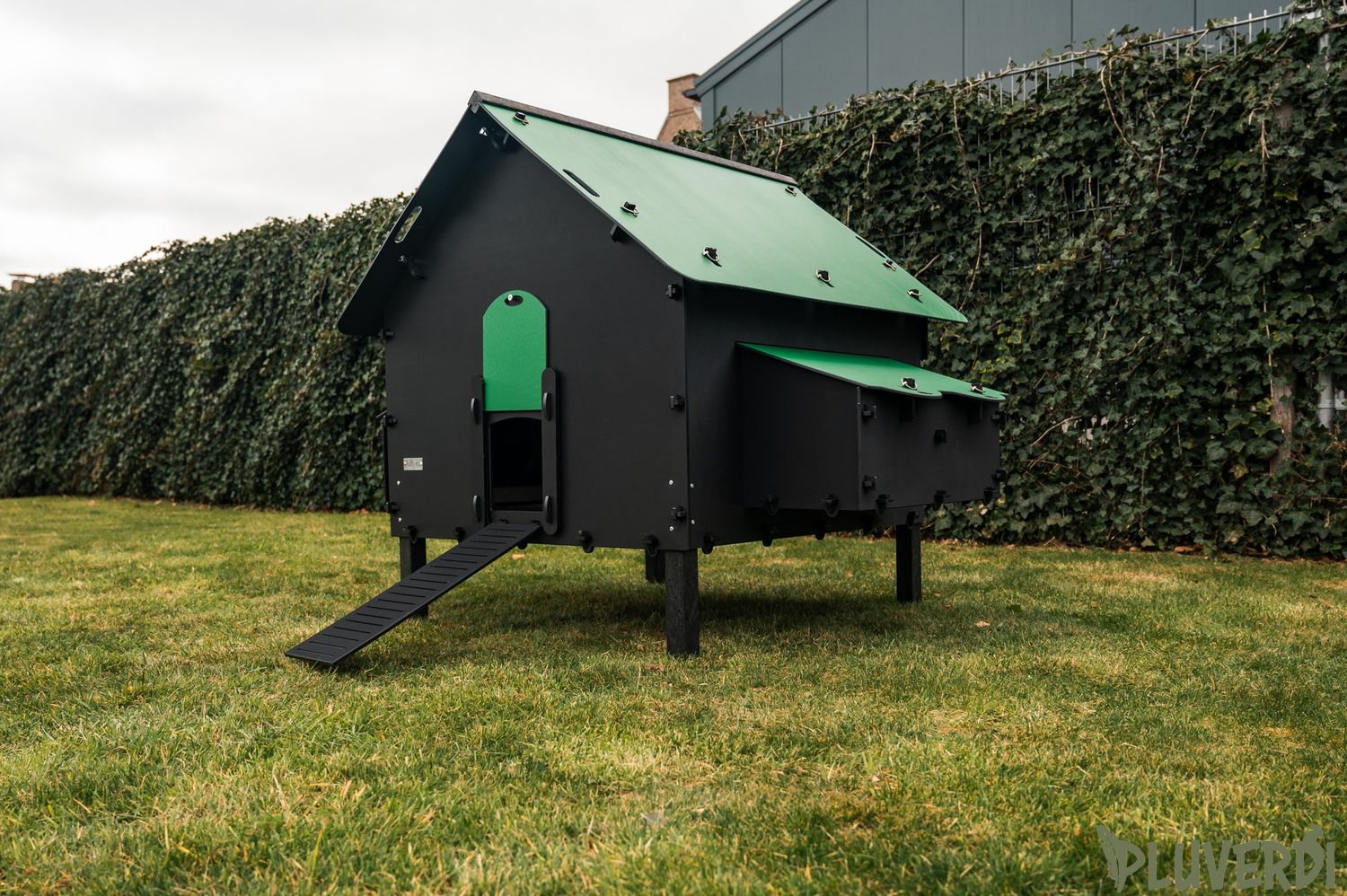 Kunststof Kippenhok  Pluverdi  BRUSSELS  SUPERACTIE 12-24 kip