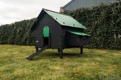 Kunststof Kippenhok  Pluverdi  BRUSSELS  SUPERACTIE 12-24 kip