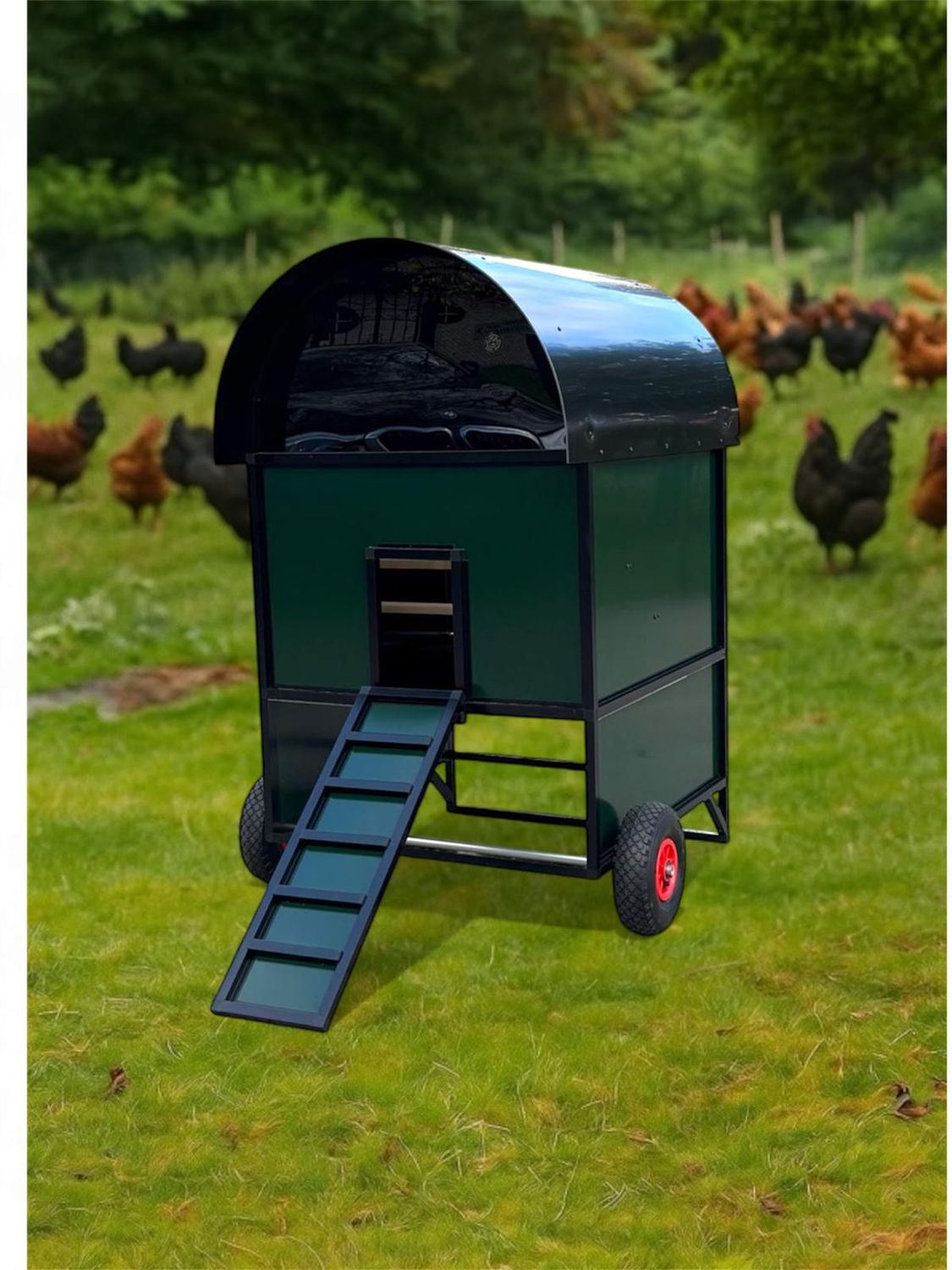 Calimero's coop medium- Green kippenhok Aluminium - mobiel - VERHOOGD Calimero's coop medium- Green kippenhok Aluminium - mobiel - VERHOOGD