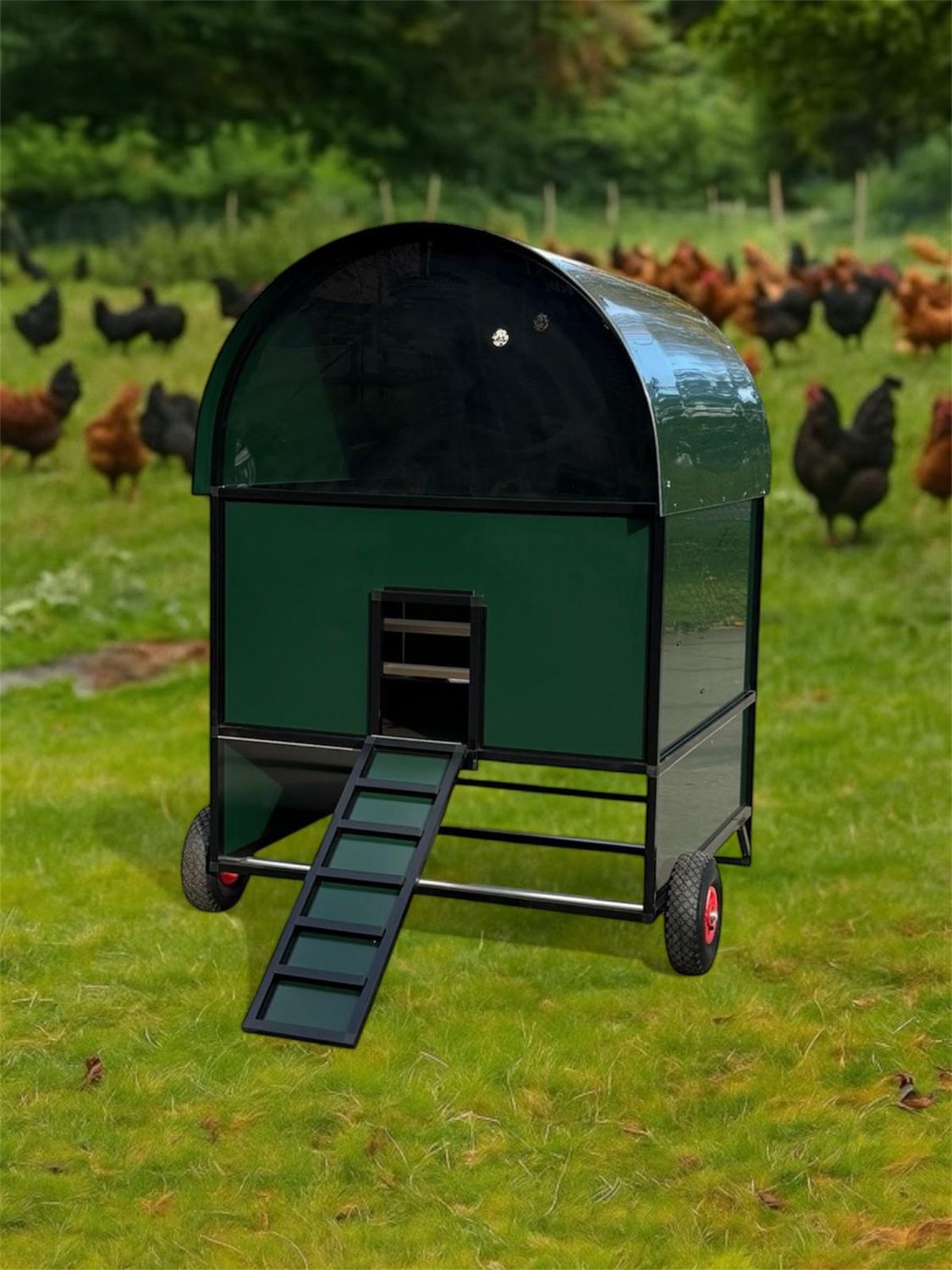 Calimero's Coop Large Verhoogd groen  kippenhok Aluminium - hok van de toekomst