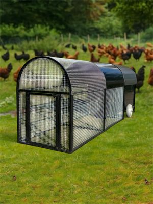 Calimero's coop kippenren , voorzetren 2 m