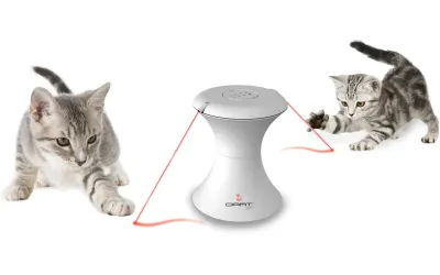 PetSafe laserspeelgoed Frolicat