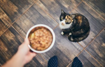 Feline Soft Filets Kip