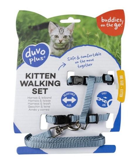 Kitten harnas en leiband