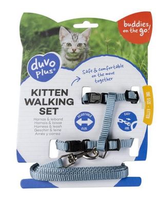 Kitten harnas en leiband