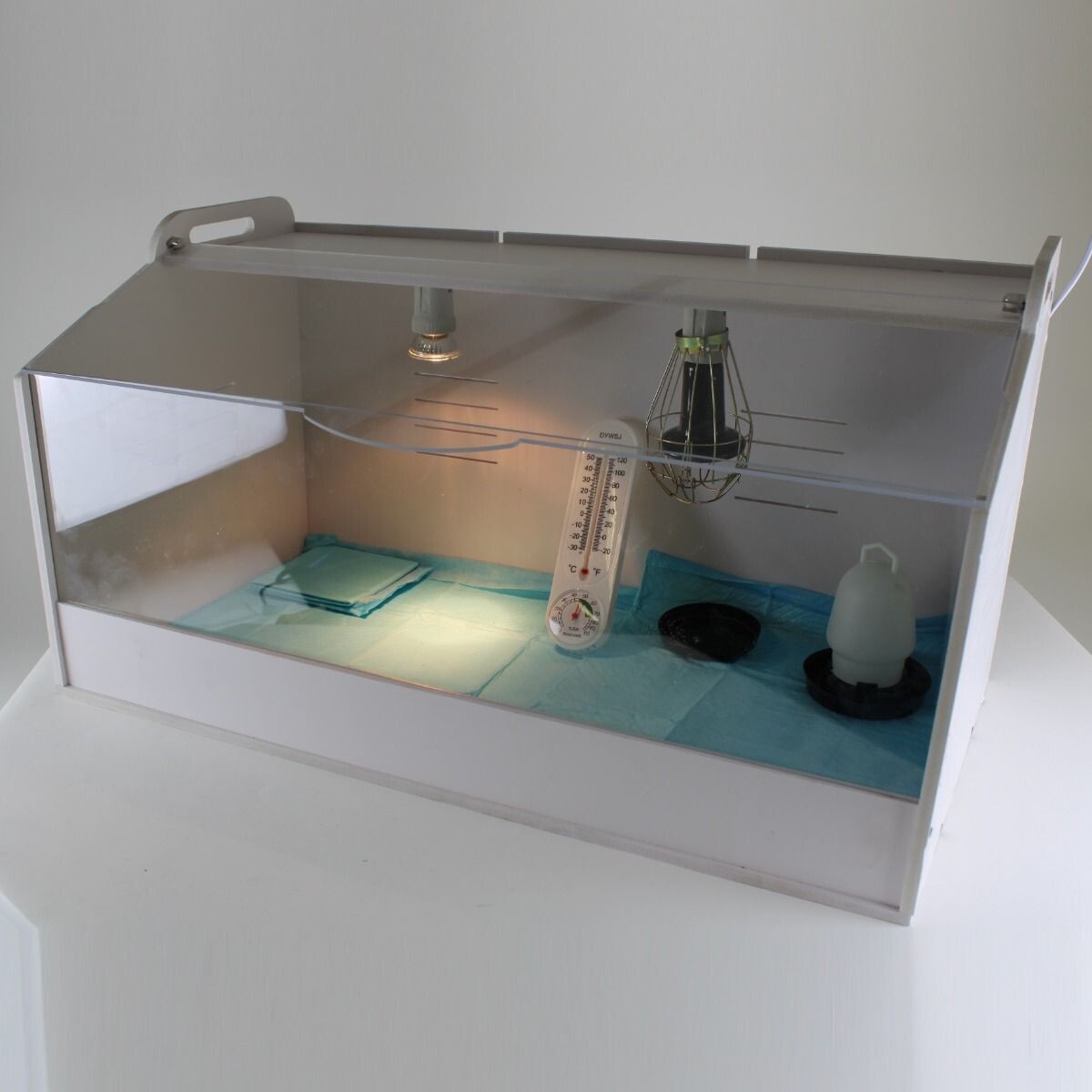 Brooder voor kuikens - groot 78,5x39,5x42cm