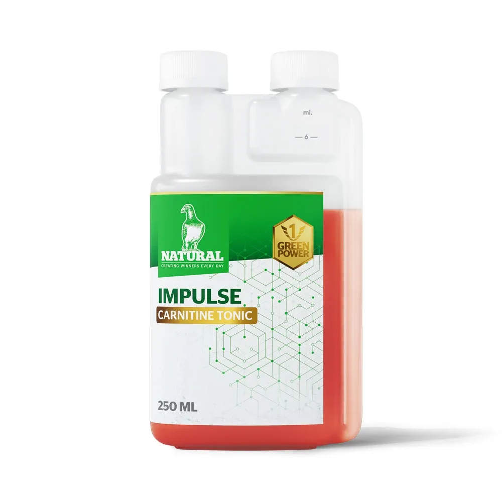 Natural Green Power Impulse Carnitine Tonic
