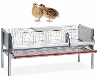 Kwartel Legkooi - kwartelkooi