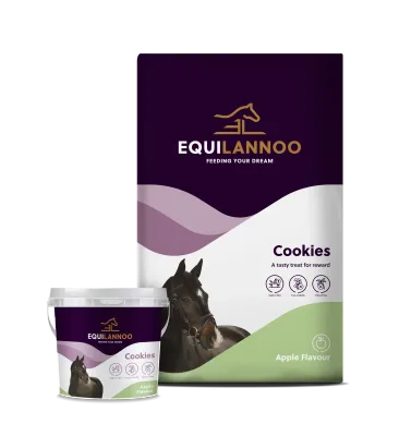 Equilannoo - cookies appel smaak