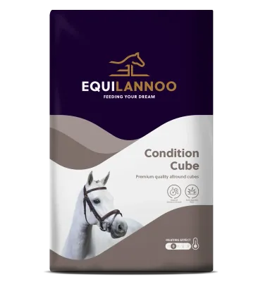 Equilannoo - condition Cube