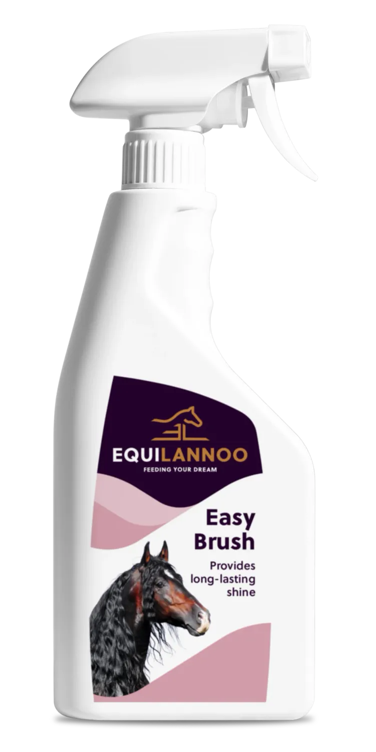 Equilannoo - Easy Brush