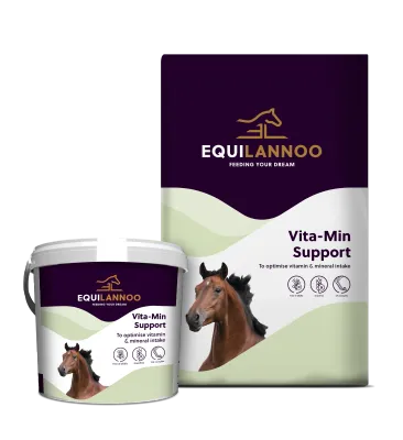 Equilannoo - Vita min support