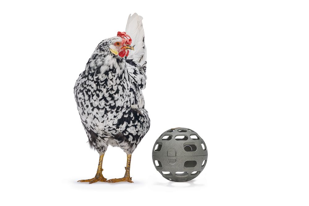 KIPPENSNACKBAL 100% GERECYCLED