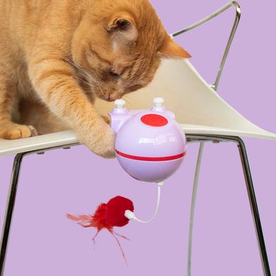 Kattenspeeltje Reckless Roxy 8.4x11x11cm lila/rood