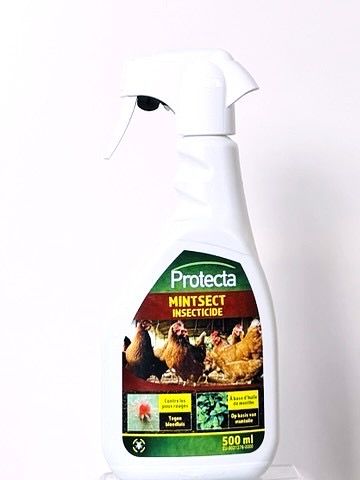 Protecta Mintsect Insecticide spray 500ml