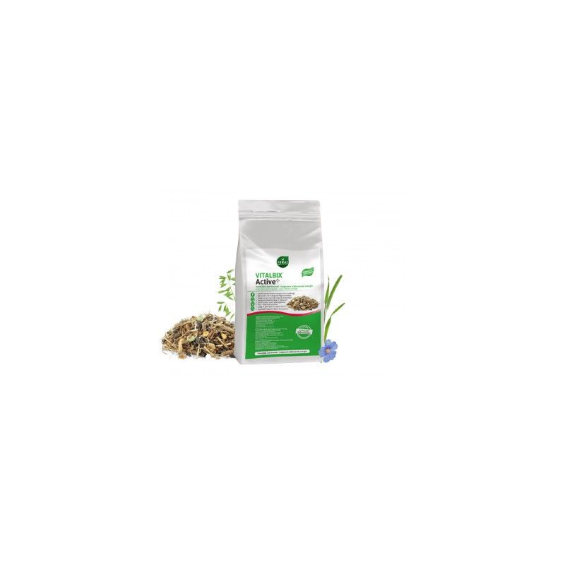Vitalbix Active+