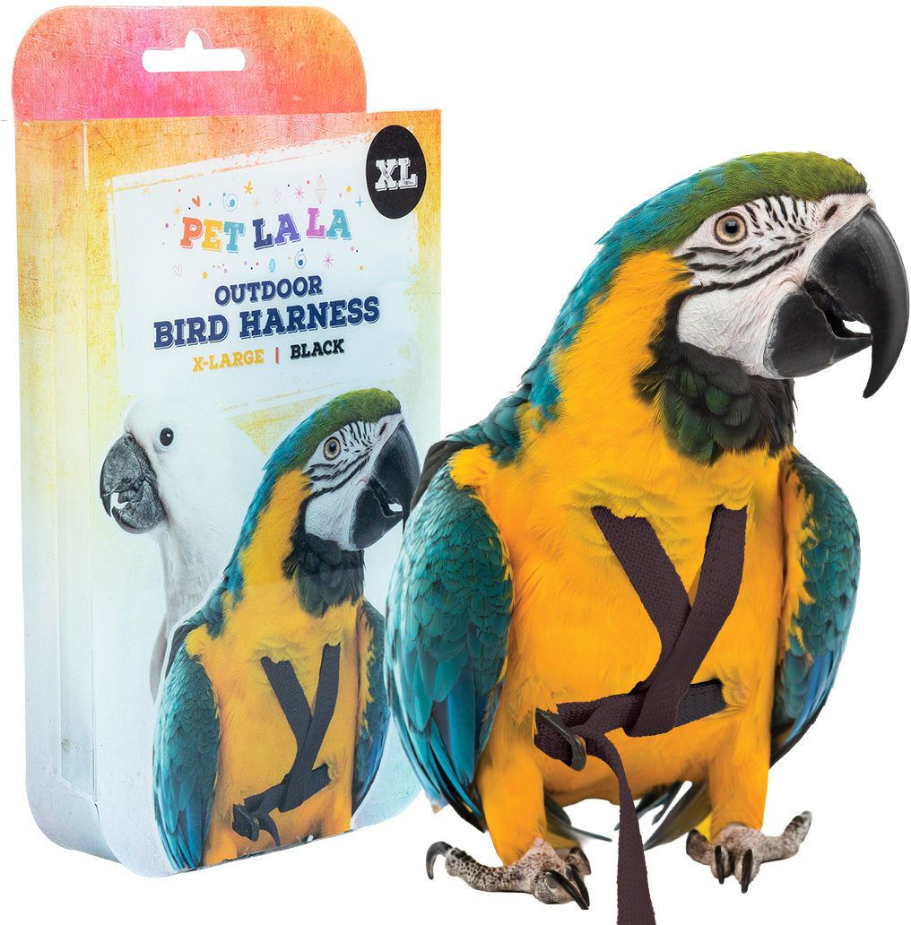 Vogel harnas - XL zwart