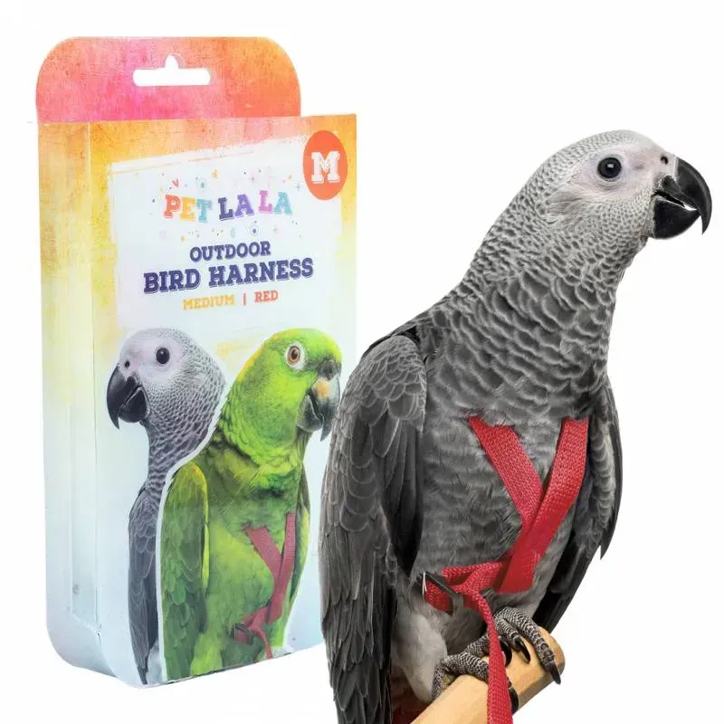 Vogel harnas - Medium zwart