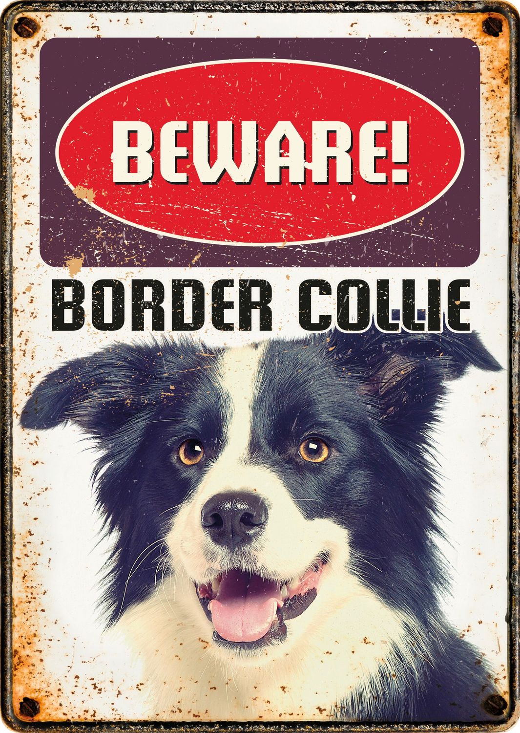 Bord blik Beware Border Collie