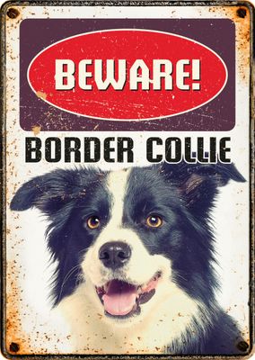 Bord blik Beware Border Collie
