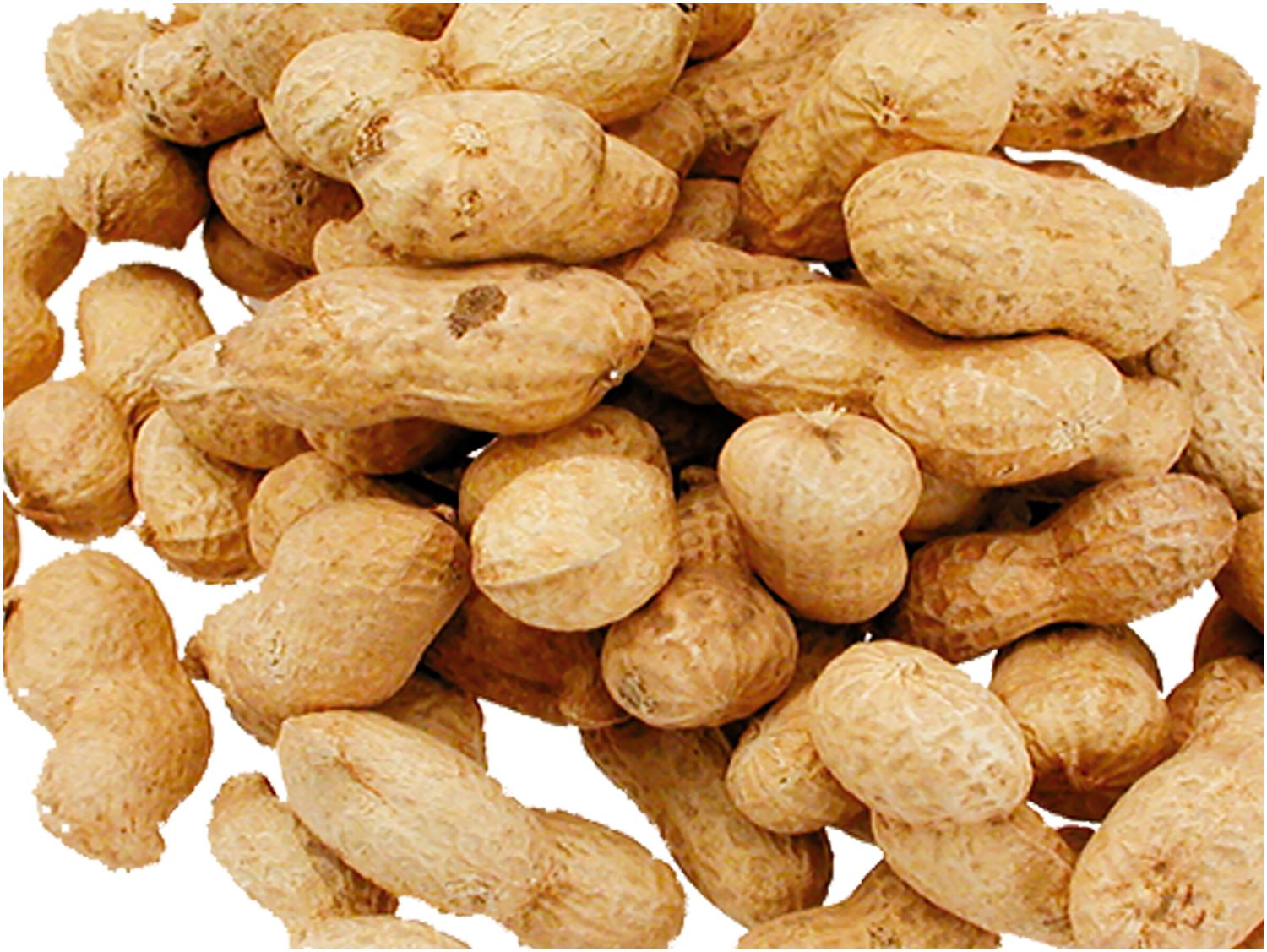 Ongepelde Arachiden 9,9kg