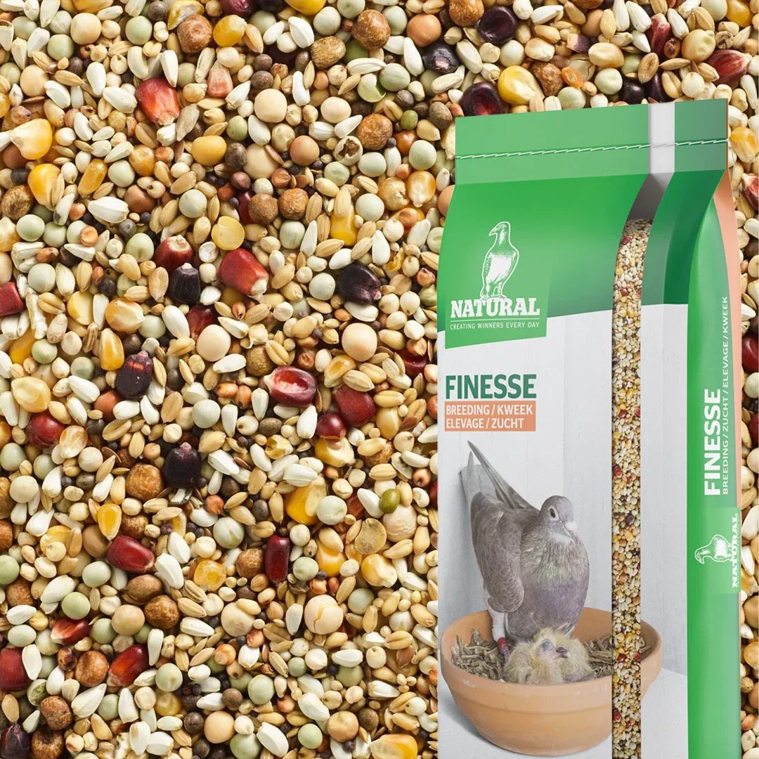 Natural Finesse kweek &amp; jonge duiven