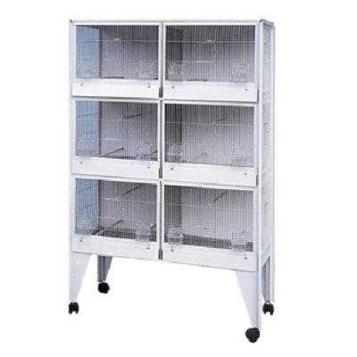 Volière Roma nr 31