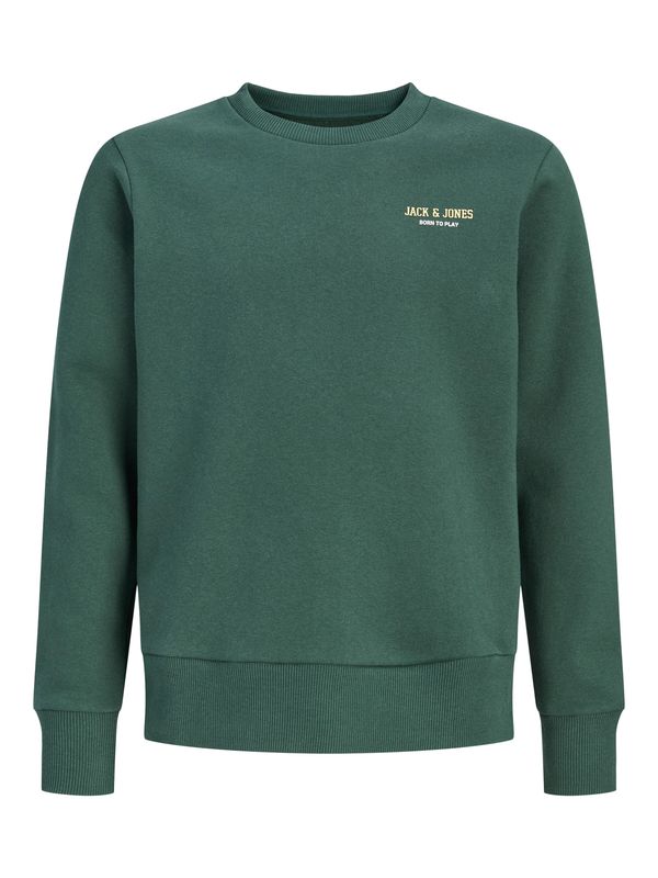 12305687 JACK &amp; JONES Sweater Groen met Logo Print