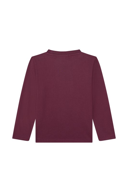 JONAS-SB-03-E– Someone jongens longsleeve bordeaux met stoere beer print