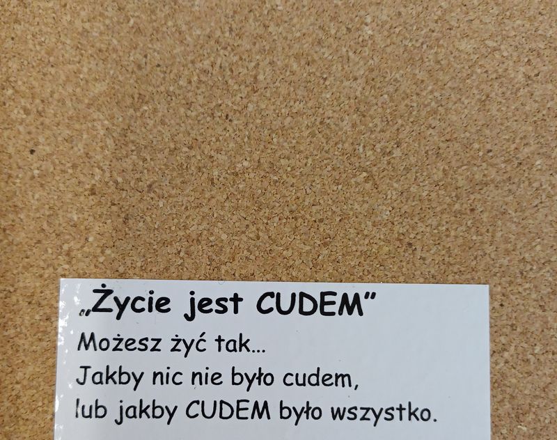 Anioły nad morzem