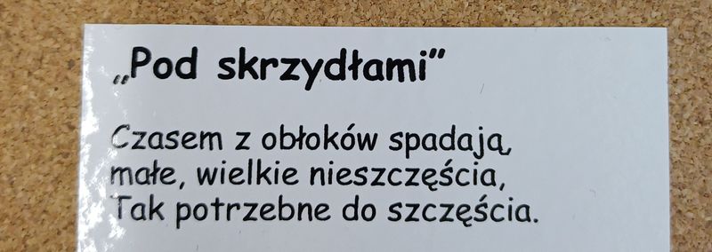 Opiekun domu