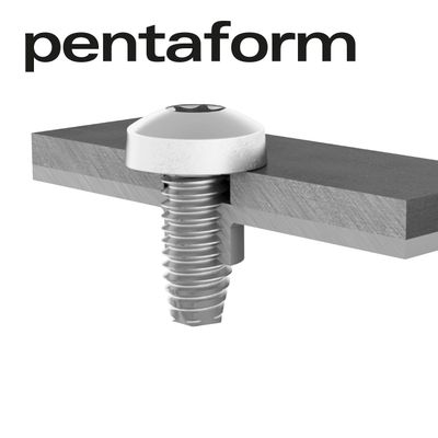 pentaform – Gewindefurchende Schraube für Metallverbindungen – Linsenkopfschraube mit Innensechsrund